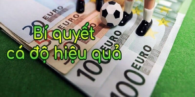 Bí quyết giúp bạn chơi cá độ bóng đá hiệu quả